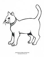 cat coloring page