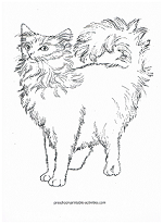 cat coloring page