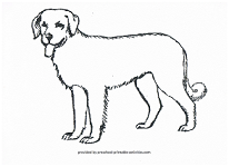 dog coloring page