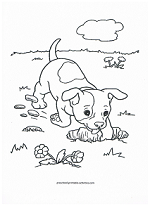 dog coloring page