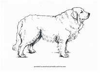 dog coloring page