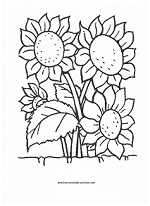 Flower Coloring Pages