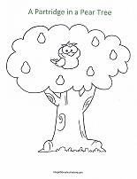 partridge in a pear tree coloring page