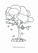 fall tree coloring page