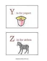 Y and Z flashcards