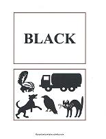 black color flash cards