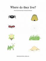 match insects to their homes worksheet