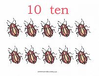 10 bugs counting card