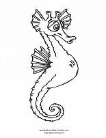 seahorse coloring page