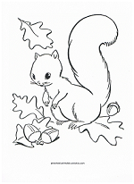 squirrel in fall coloring page