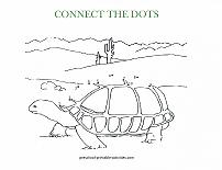 turtle dot to dot