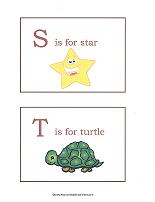 S and T flashcards