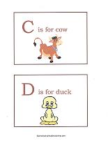 C and D flashcards