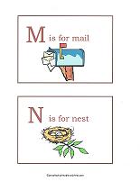 M and N flashcards