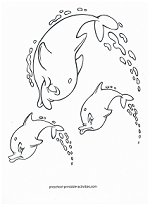 dolphin coloring page