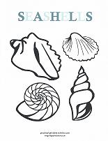 seashells coloring page